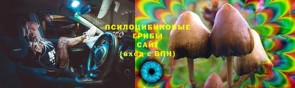 сатива Алзамай