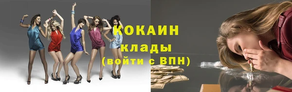 твердый Алексин