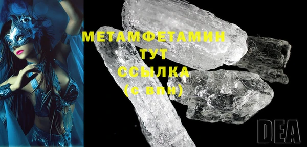 прущие грибы Осташков