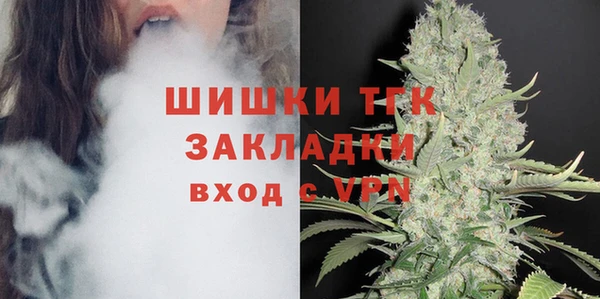 сатива Алзамай