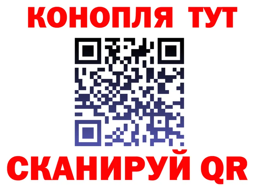 АМФ 97% зеркало дарк нет MEGA Оса