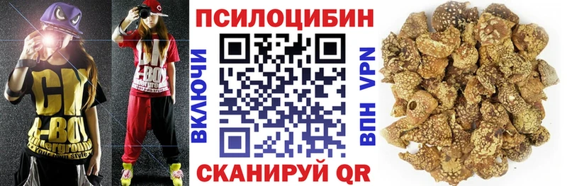 Галлюциногенные грибы прущие грибы  купить   Оса 